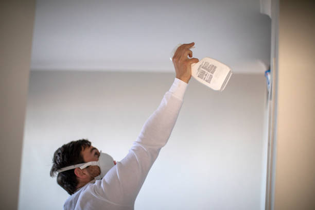 Best Mold Cleaning Services  in Tiffin, OH
